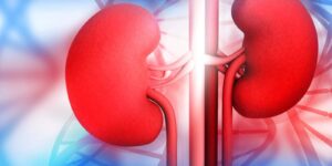 9 Common Symptoms and Indications of a Kidney Issue