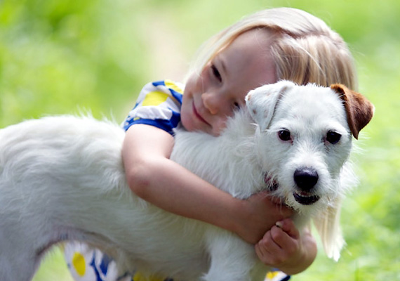 Enlightening Reasons We're Fixated on Our Pets